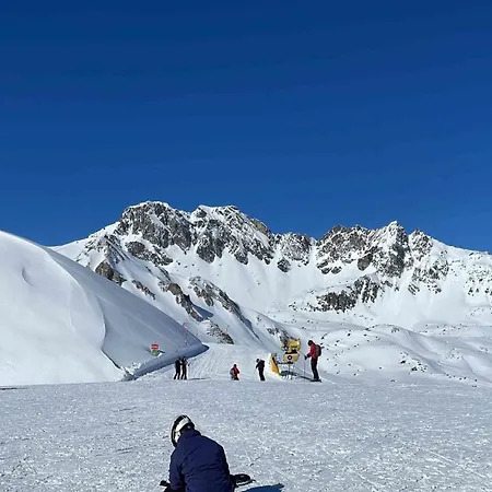 Chow Chow דירה