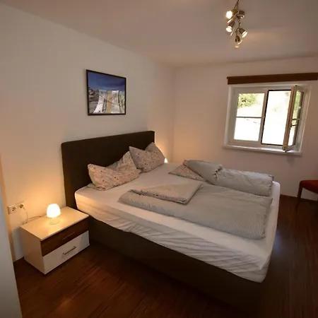 Chow Chow Apartment