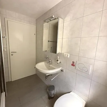 Chow Chow Apartment