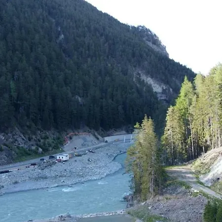 Chow Chow Daire Nauders