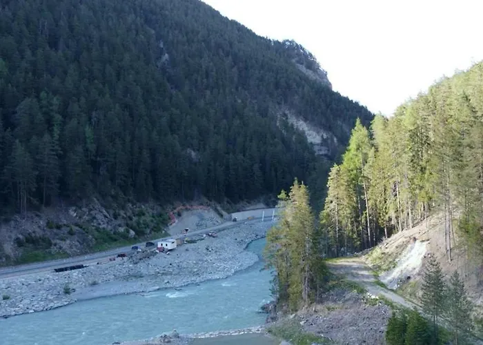 Chow Chow Daire Nauders